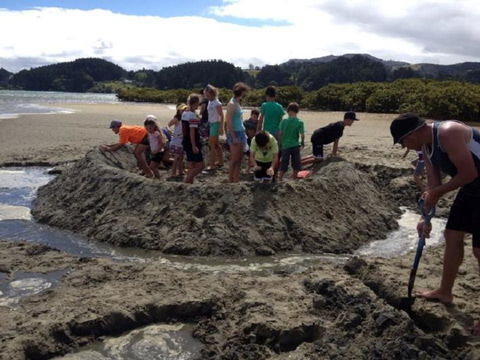 Whangateau Holiday Park - Accommodation New Zealand 3