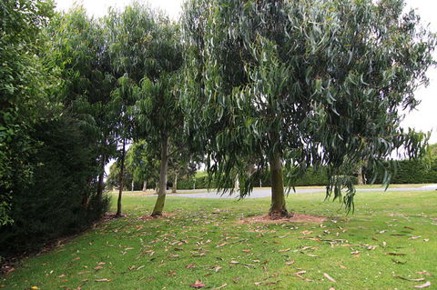 Ambleoninn Limited - Accommodation New Zealand 2