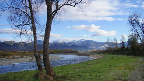 Tapawera Settle - Accommodation New Zealand 4