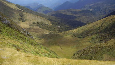 Tapawera Settle - Accommodation New Zealand 5