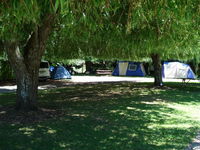 Whangarei Central Holiday Park