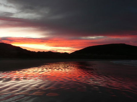 Catlins Newhaven Holiday Park - Accommodation New Zealand 2