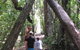 Catlins Newhaven Holiday Park - thumb 5