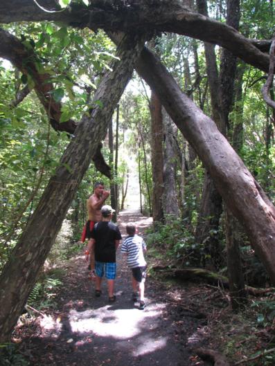 Catlins Newhaven Holiday Park - Accommodation New Zealand 5