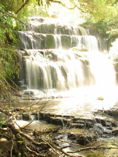 Catlins Newhaven Holiday Park - Accommodation New Zealand 8