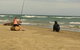 Catlins Newhaven Holiday Park - thumb 9