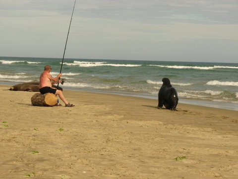 Catlins Newhaven Holiday Park - Accommodation New Zealand 9
