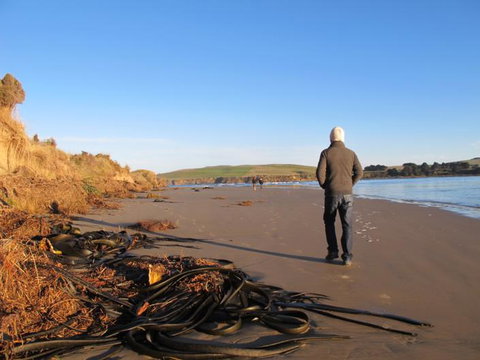 Catlins Newhaven Holiday Park - Accommodation New Zealand 30