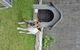 Himatangi Beach Holiday Park - thumb 7