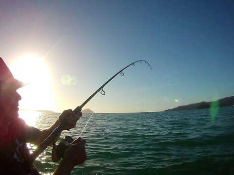 Shelly Beach TOP 10 Holiday Park (Beachfront Coromandel) - Accommodation New Zealand 6