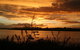 Dargaville Park Over - thumb 3
