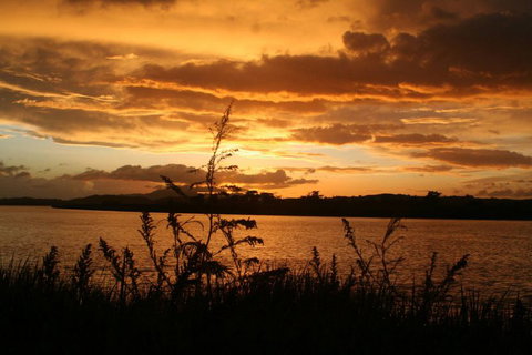 Dargaville Park Over - Accommodation New Zealand 3