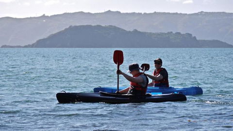 Days Bay Homestay - Accommodation New Zealand 4