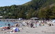 Days Bay Homestay - thumb 8