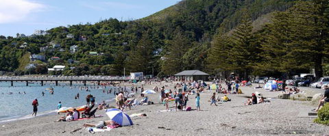 Days Bay Homestay - Accommodation New Zealand 8