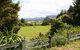 Among The Totara Trees Country Homestay - thumb 3