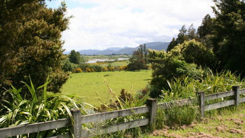 Among The Totara Trees Country Homestay - Accommodation New Zealand 3