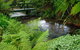 Best Western Braeside Rotorua - thumb 7
