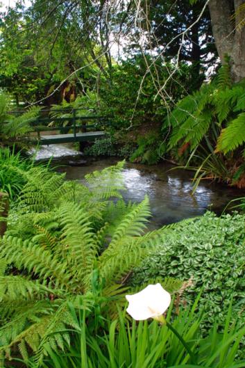 Best Western Braeside Rotorua - Accommodation New Zealand 7