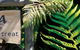 Kaka Retreat Motel - thumb 8