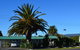 Palm Motel Waihi - thumb 0