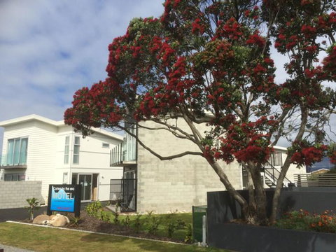 Carters By The Sea - Accommodation New Zealand 3