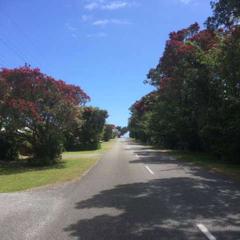 Carters By The Sea - Accommodation New Zealand 5