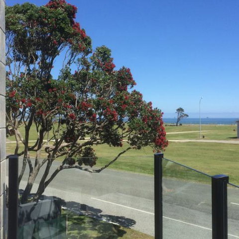 Carters By The Sea - Accommodation New Zealand 20