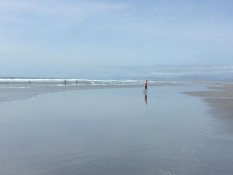 Carters By The Sea - Accommodation New Zealand 22