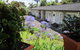 Brookby Motel - thumb 2