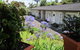 Brookby Motel - thumb 9