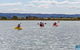 Ohiwa Beach Holiday Park Motel - thumb 11