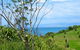 Rotoroa Island Hostel: The Superintendent's House - thumb 0