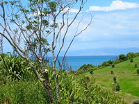 Rotoroa Island Hostel The Superintendent's House
