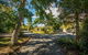 Kauri Park Motel - thumb 3