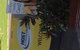 AAA Marlin Motel - thumb 10