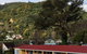 AAA Marlin Motel - thumb 19