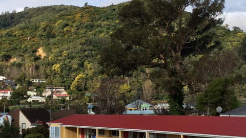 AAA Marlin Motel - Accommodation New Zealand 19