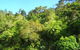 Te Mata Lodge - thumb 3