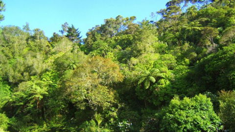Te Mata Lodge - Accommodation New Zealand 3