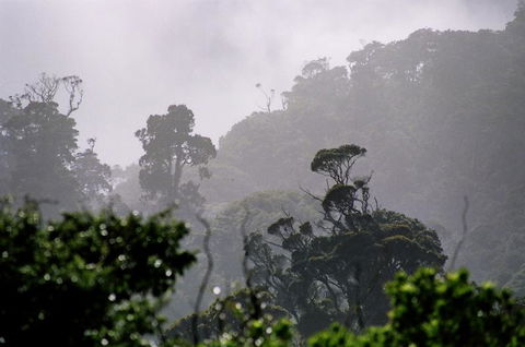 The Old Slaughterhouse - Accommodation New Zealand 7