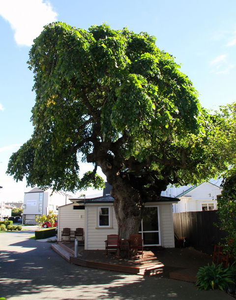 Merivale Manor - Accommodation New Zealand 1