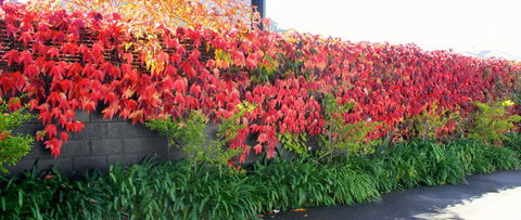 Merivale Manor - Accommodation New Zealand 4