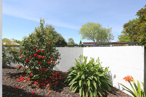 Shadzz Motel - Accommodation New Zealand 1