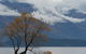 Wanaka Heights Motel - thumb 10