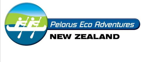 Blue Moon Lodge - Accommodation New Zealand 10