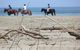 Ahipara Tides Absolute Beachfront - thumb 3