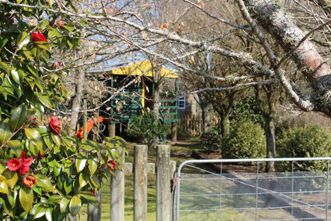 Beez Neez Lodge - Accommodation New Zealand 7