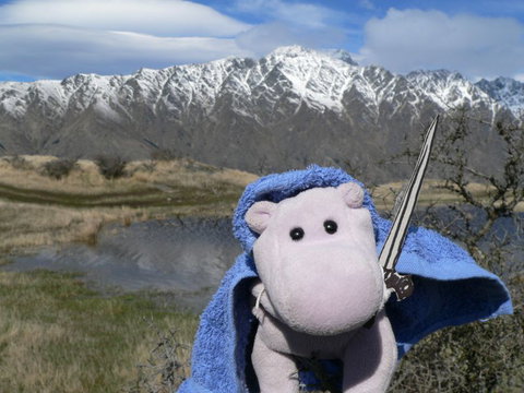 Hippo Lodge Backpackers - Accommodation New Zealand 0