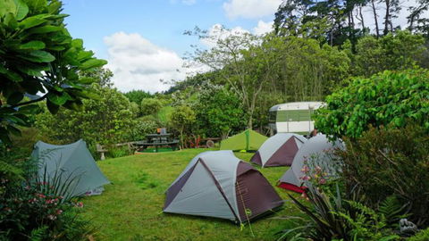 Dolphin Lodge - Accommodation New Zealand 12